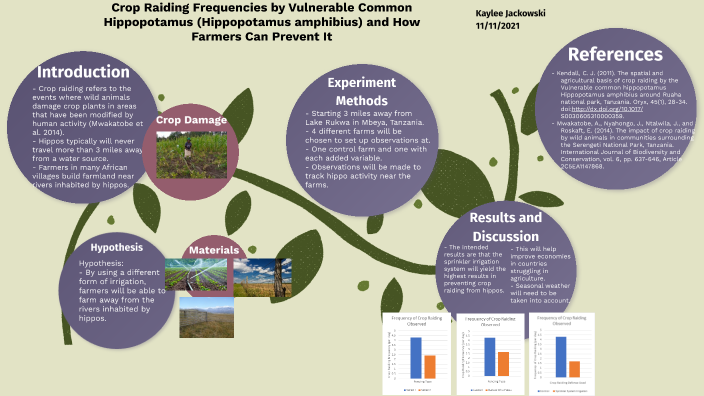 Crop Raiding Frequencies by Vulnerable Common Hippopotamus ...