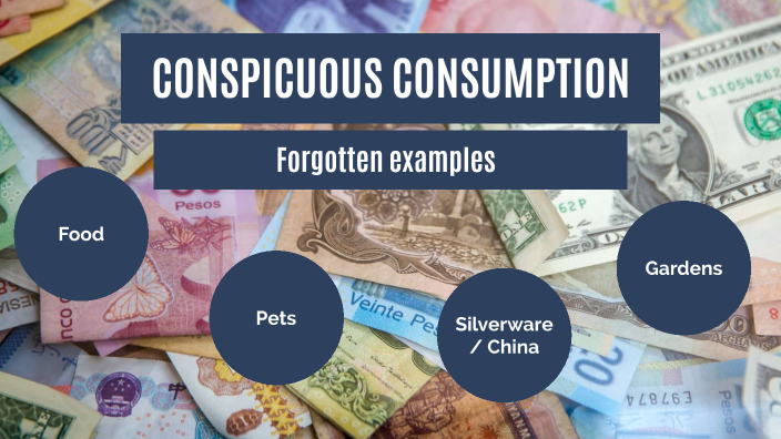 conspicuous-consumption-by-hana-cyr