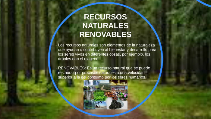 RECURSOS NATURALES RENOVABLES by Romina Guerrero