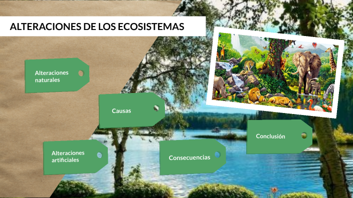 Ecosistemas by Isabella Fabiusus on Prezi