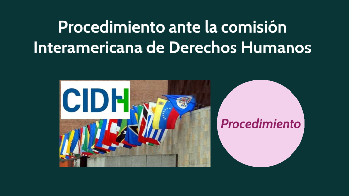 Procedimiento Ante la Comisión Interamericana de Derechos Humanos by ...