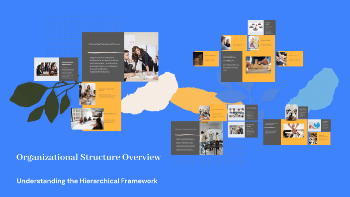 Organizational Structure Overview by İLAYDA ŞENEL on Prezi