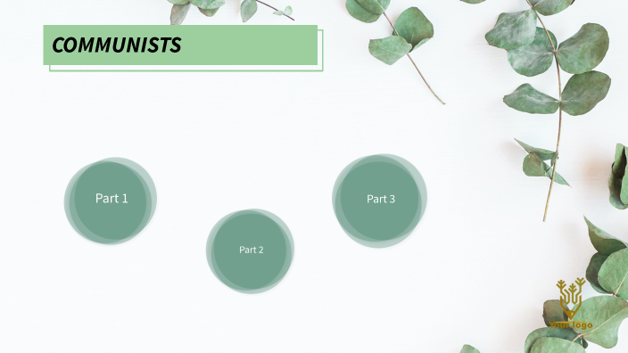 Political Party Platform Project by Letizia Curtopelle on Prezi