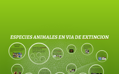 ANIMALES EN VIA DE EXTINCION by angela huertas