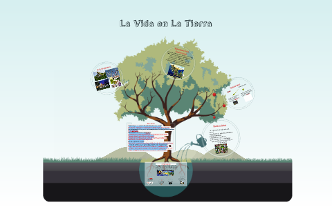 La Vida En La Tierra by