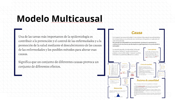 Modelo Multicausal by paola lopez