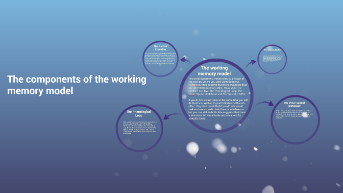The components of the working memory model by olivia Sarnecki on Prezi