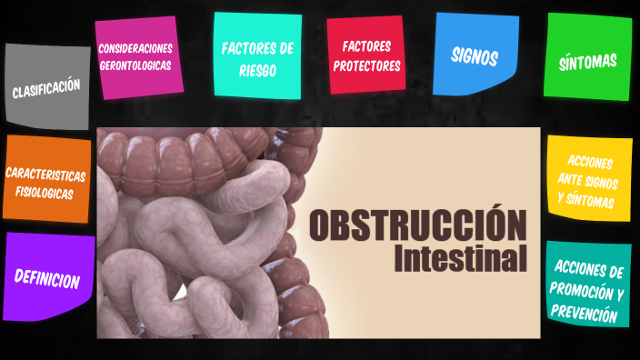 OBSTRUCCION INTESTINAL by Melany Perez on Prezi