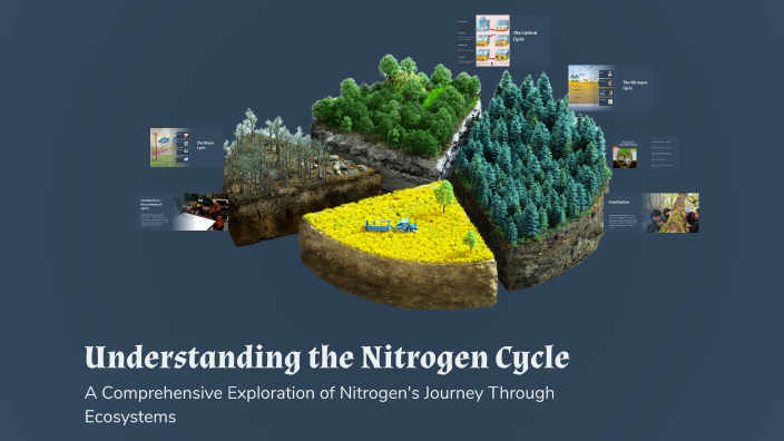 Understanding the Nitrogen Cycle by Tan Le on Prezi