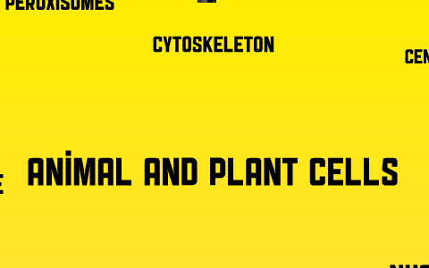 Animal and Plant Cell Prezi by AlexAustin Biology5 on Prezi
