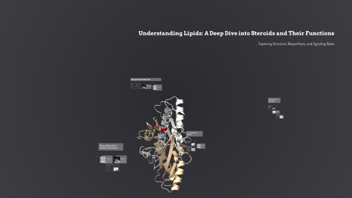 Understanding Lipids: A Deep Dive into Steroids and Their Functions by ...