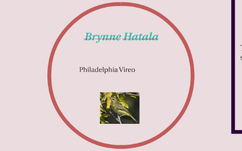 Brynne H. by Anne Marie Fisher on Prezi