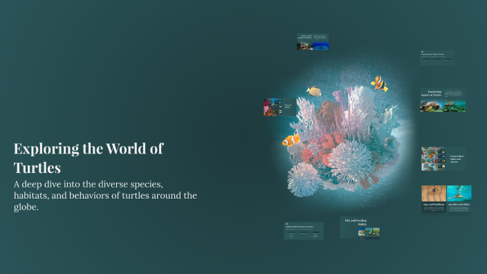 Exploring the World of Turtles by ELIZA ROURKE on Prezi