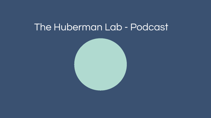 The Huberman Lab Podcast By Lia Bru On Prezi