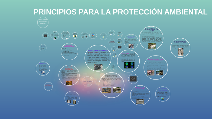 PRINCIPIOS PARA LA PROTECCIÓN AMBIENTAL by ernesto gallo on Prezi