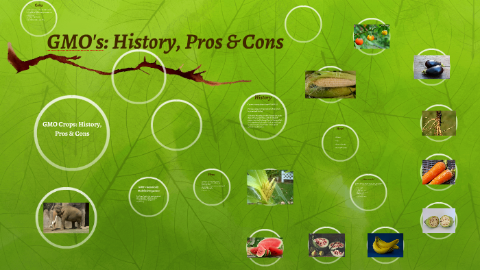 Gmos History Pros And Cons By Alejandro Camacho On Prezi