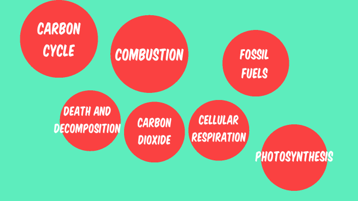 Carbon Cycle Notes by Angela Chihuahua on Prezi