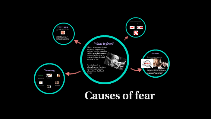 causes-of-fear-by-ayl-n-vargas