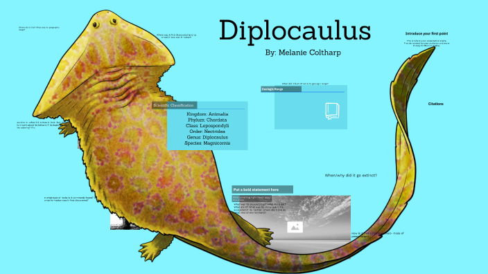Diplocaulus by Melanie coltharp on Prezi Next