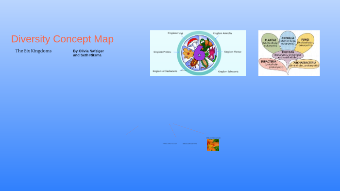 Diversity Concept Map by Seth Ritsma on Prezi