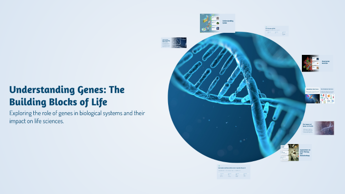 Understanding Genes: The Building Blocks of Life by Tarannom Gomari on ...