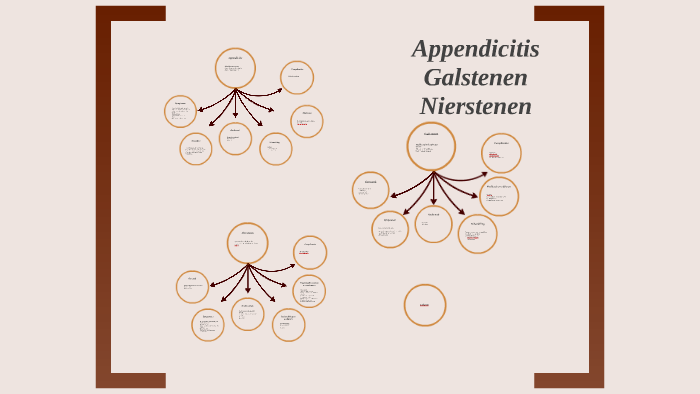 Appendicitis, Galstenen En Nierstenen By Daniëlle Franzen