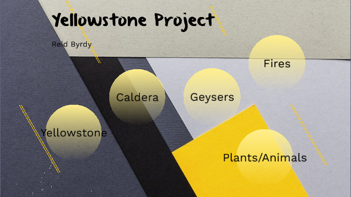 Yellowstone Project by Reid Byrdy on Prezi