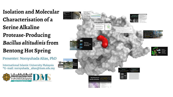 Isolation and Molecular Characterization of a Serine Alkaline Protease ...