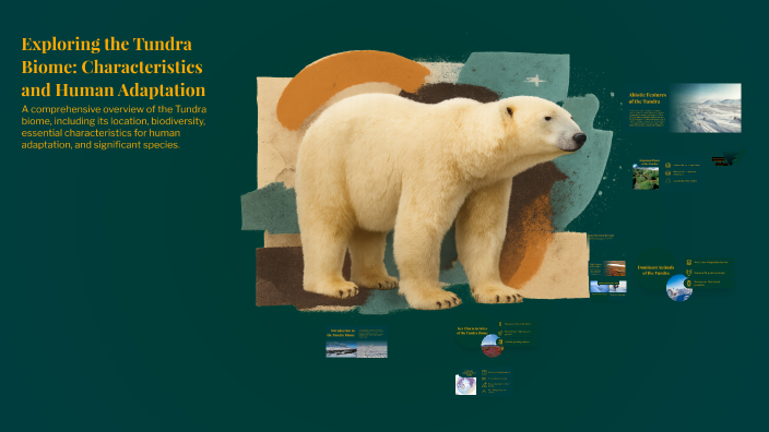 Exploring the Tundra Biome: Characteristics and Human Adaptation by ...