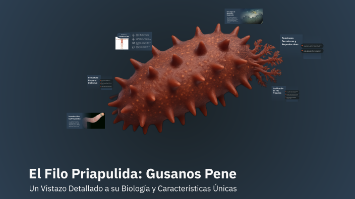 Priapulida Example El Filo Priapulida: Gusanos Pene by harrinson CORREA velosa on Prezi