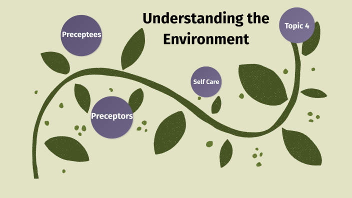 Understanding The Environment By Meghan Pak