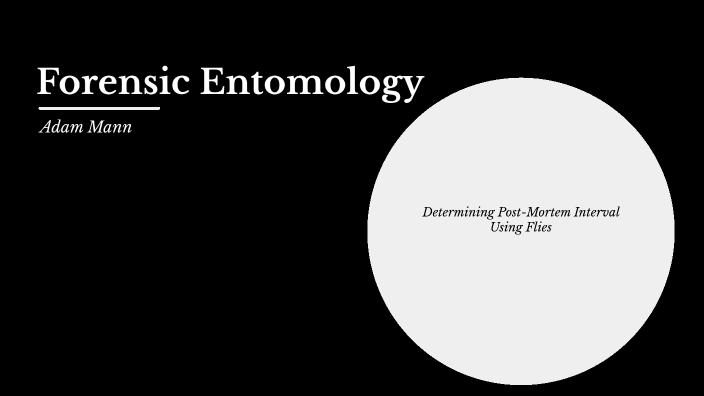 Forensic Entomology by Adam Mann on Prezi