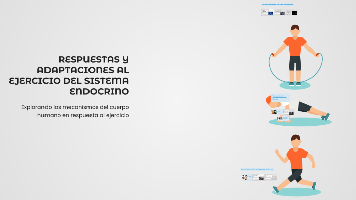 RESPUESTAS Y ADAPTACIONES AL EJERCICIO DEL SISTEMA ENDOCRINO by CINTHIA