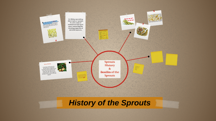 History of the Sprouts by Anayanci Rodriguez on Prezi