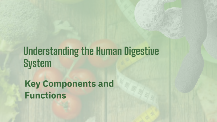 Understanding the Human Digestive System by Nadia Sunny on Prezi
