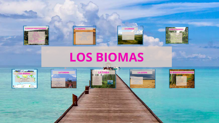 LOS BIOMAS by andrea tarancon salinas on Prezi