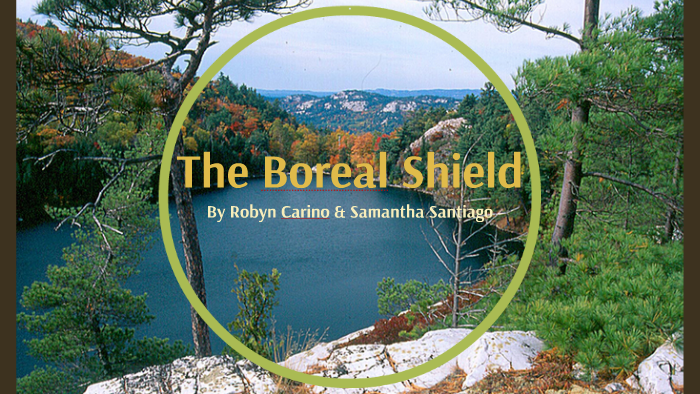 The Boreal Shield by Robyn Carino on Prezi