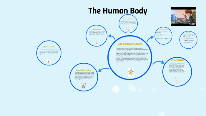 The Human Body by antonio rodriguez on Prezi