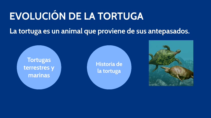 EVOLUCION TORTUGA by Marcos Gonzalez on Prezi