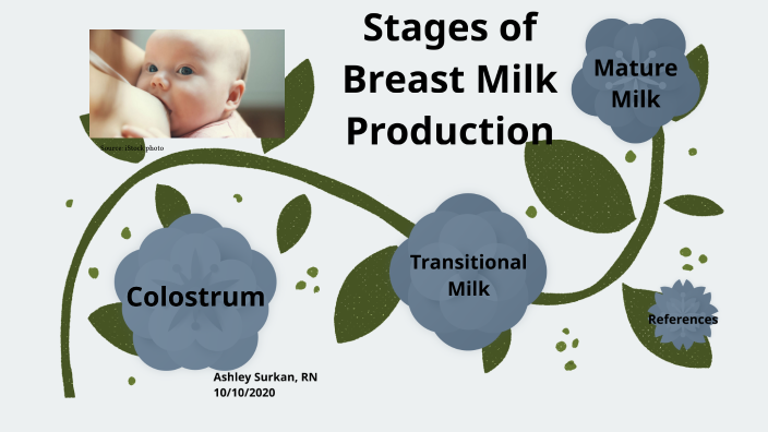 Stages Of Milk Production By Ashley Surkan On Prezi