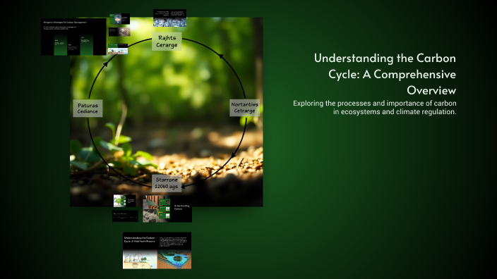Understanding the Carbon Cycle: A Comprehensive Overview by Lê Hoàng on ...
