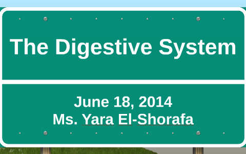 The Digestive System by Yara Elshorafa on Prezi