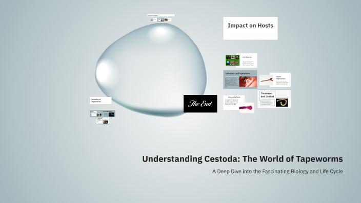 Understanding Cestoda: The World of Tapeworms by Cheyanne blasing on Prezi