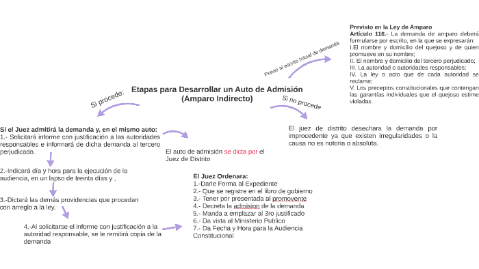 Etapas para Desarrollar un Auto de Admicion (Amparo Indirect by Alberto