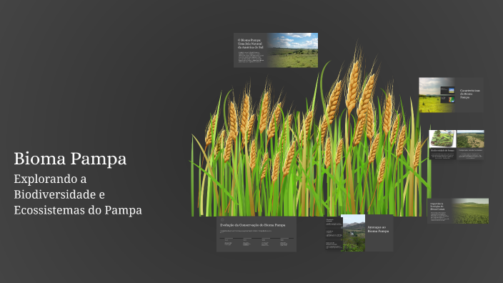 Bioma Pampa by Gabriel Lobo on Prezi