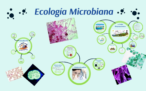 Ecología Microbiana by Andrea Fernández Carnicero on Prezi