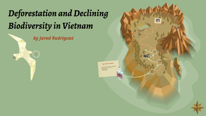 Deforestation and Declining Biodiversity in Vietnam by Jared Rodriguez ...