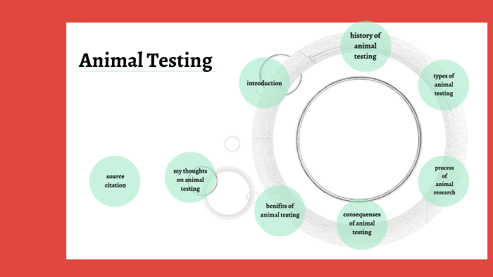 animal testing by indigo assink
