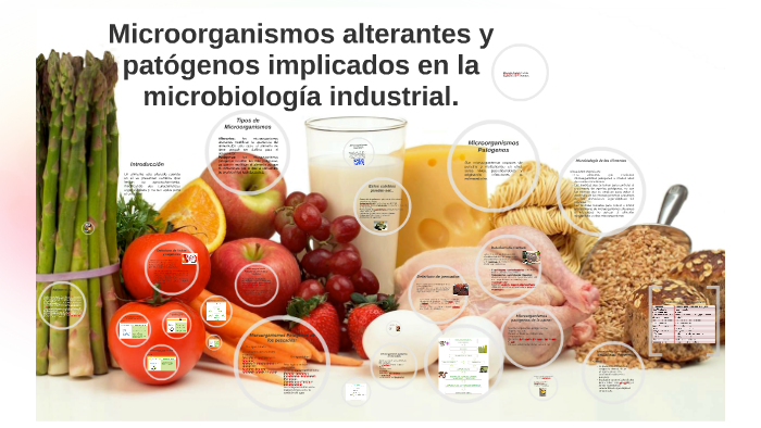 Microorganismos Implicados en la microbiologia de alimentos by Marcela