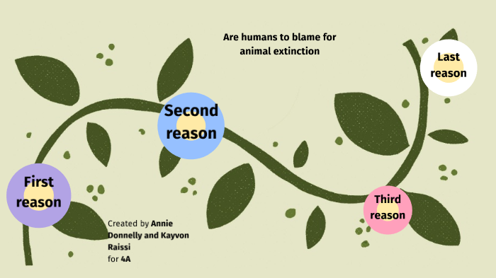 are-humans-to-blame-for-animal-extinction-by-annabelle-donnelly